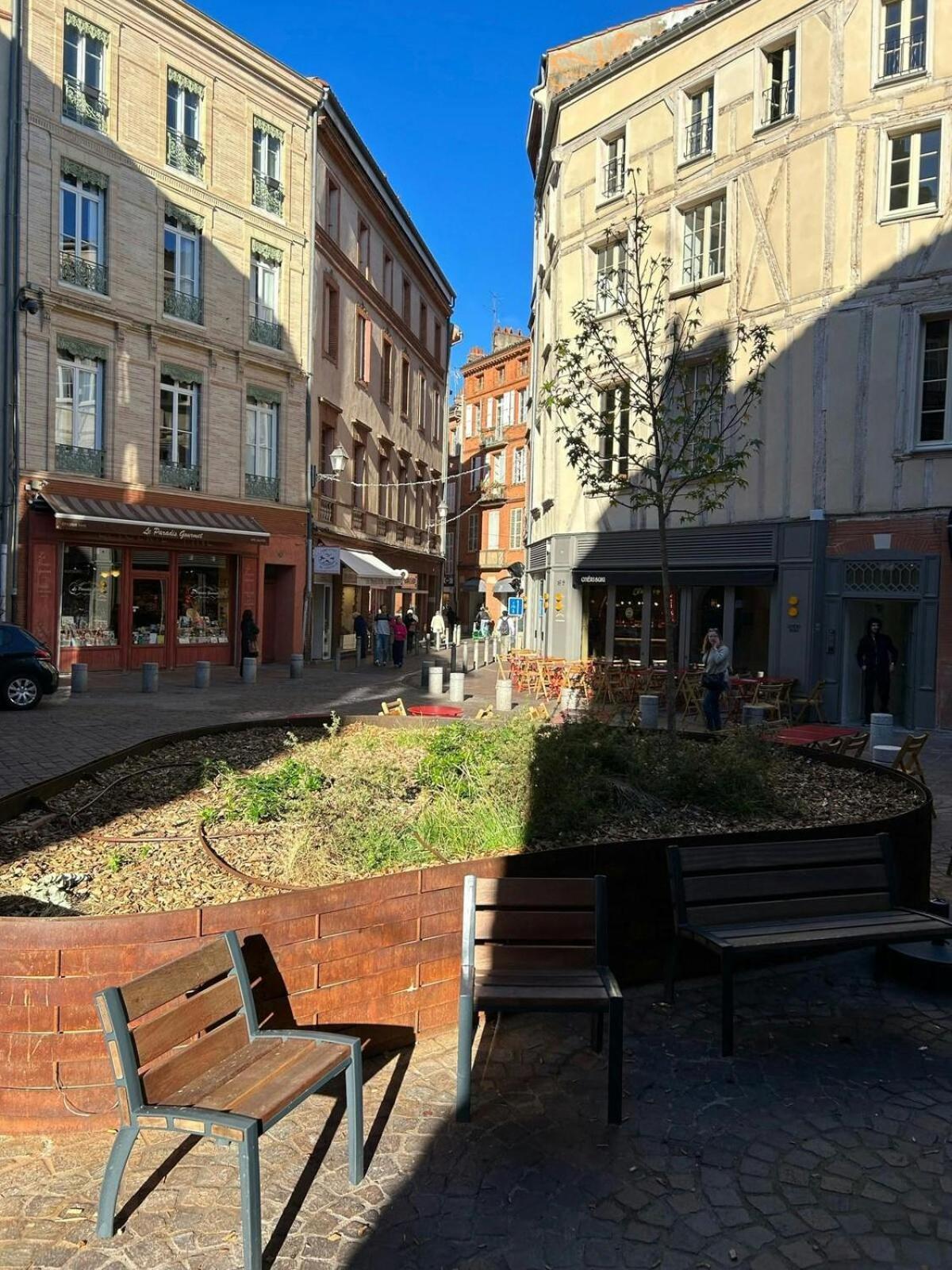 T1Bis-Cosy-Place Salengro-Metro Toulouse Eksteriør billede
